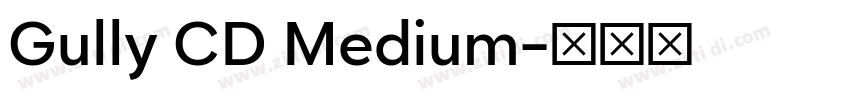 Gully CD Medium字体转换